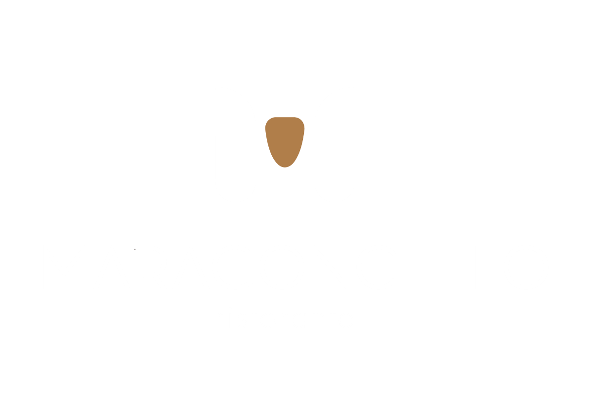 light logo